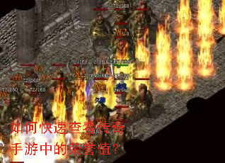 ��ο��ٲ鿴���������е�����ֵ��