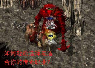 �������ѡ�����ʺ���Ĵ���ְҵ��