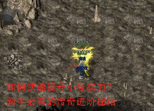 ��ο�������С��ʵ�������ֱؿ��Ĵ�������ؼ�