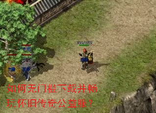 如何无门槛下载并畅玩怀旧传奇公益服? 如何无门槛下载并畅玩怀旧传奇公益服?