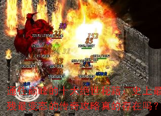 ͨ���۷��ʮ������ؼ���ʷ�����ײ����̬�Ĵ��湥����Ĵ�����