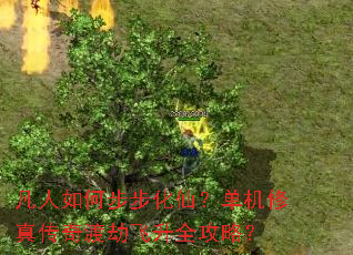 凡人如何步步化仙?单机修真传奇渡劫飞升全攻略? 凡人如何步步化仙?单机修真传奇渡劫飞升全攻略?