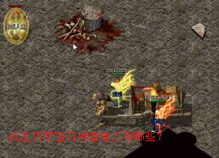 ��ʥ���汦ʯ����ص�����Щ��