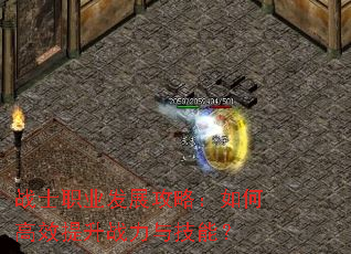 战士职业发展攻略:如何高效提升战力与技能? 战士职业发展攻略:如何高效提升战力与技能?