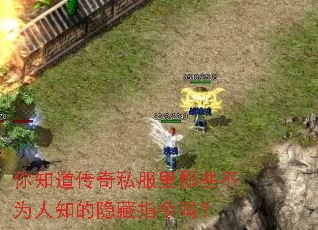 ��֪������˽������Щ��Ϊ��֪������ָ����