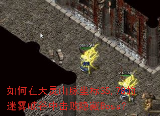 ���������ɽ������35,78������Ͽ���л�������Boss��