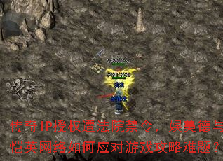 ����IP��Ȩ�ⷨԺ�������������Ӣ�������Ӧ����Ϸ�������⣿