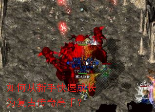 ��δ����ֿ��ٳɳ�Ϊ���Ŵ�����֣�