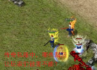 ����˽���У���Щ©������������ղ��ܣ�