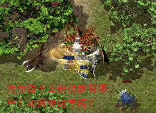 �����ʿ�ϰ�������Щ����ο������գ�