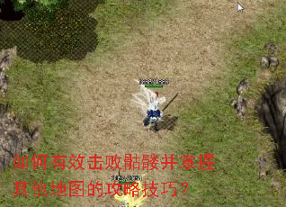 如何有效击败骷髅并掌握其他地图的攻略技巧? 如何有效击败骷髅并掌握其他地图的攻略技巧?