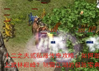 ʮ��֮�췡˽�����湥�ԣ����̤�������۷壿�ưԽ����ļ��±���