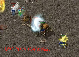 ��ʦ�����������ս��Ʒ��