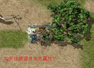 如何快速提升角色属性? 如何快速提升角色属性?