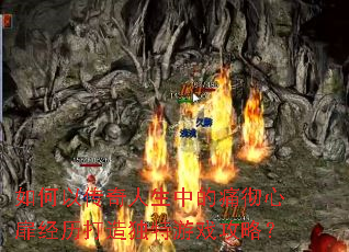 ����Դ��������е�ʹ�����龭�����������Ϸ���ԣ�