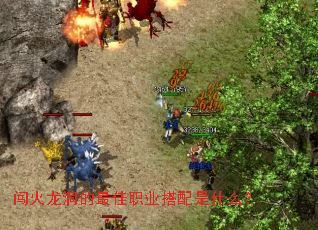 �������������ְҵ������ʲô��