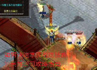 ��ο���������Ϸ���ܣ���Чѧϰ����ָ��