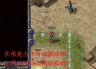 ���Ӹ��Ŵ����ưԹ��ԣ�����ݺ��귨�ʶ��۷壿