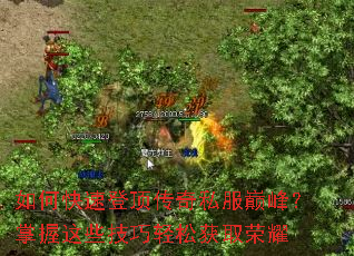 ��ο��ٵǶ�����˽���۷壿������Щ�������ɻ�ȡ��ҫ