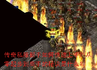 ����˽��������ο������֣������𲽵����ֵ��ؾ���ʲô��