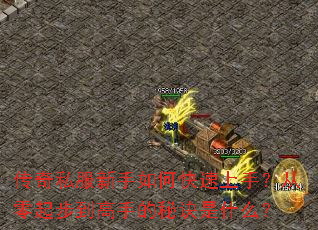 ����˽��������ο������֣������𲽵����ֵ��ؾ���ʲô��