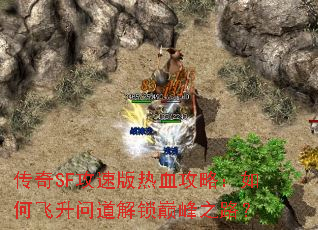 ����SF���ٰ���Ѫ���ԣ���η����ʵ������۷�֮·��