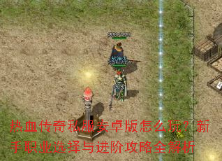 ��Ѫ����˽����׿����ô�棿����ְҵѡ������׹���ȫ����