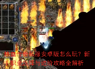 ��Ѫ����˽����׿����ô�棿����ְҵѡ������׹���ȫ����