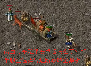 ��Ѫ����˽����׿����ô�棿����ְҵѡ������׹���ȫ����