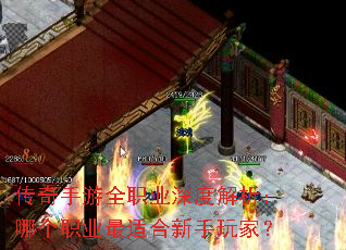 ��������ȫְҵ��Ƚ������ĸ�ְҵ���ʺ�������ң�