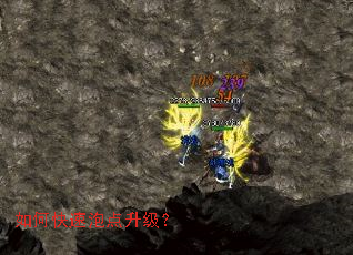 ��ο����ݵ�������