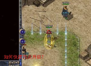 ��ο����ݵ�������