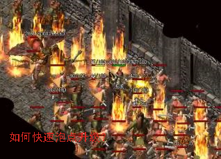 ��ο����ݵ�������