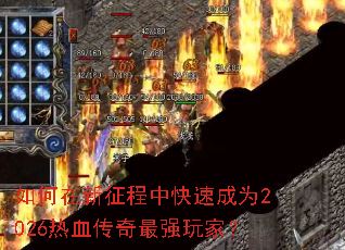 ������������п��ٳ�Ϊ2026��Ѫ������ǿ��ң�