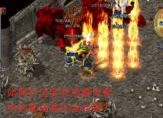 ��δ����̬��Ѫ�����е���ǿ���κ�������