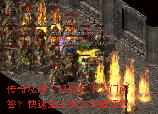 ����˽���ֻ������������ʴ𣿿���̤���귨��½����