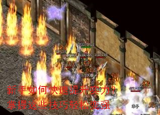 ������ο�������ʵ����������Щ�������ɱ�ǿ