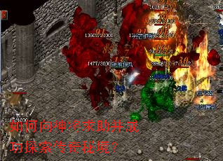 ��������������ɹ�̽�������ؾ���