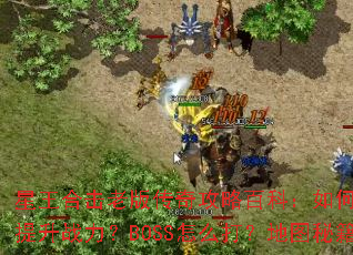 �����ϻ��ϰ洫�湥�԰ٿƣ���ο������֣���������ս����BOSS��ô�򣿵�ͼ�ؼ�����Щ��