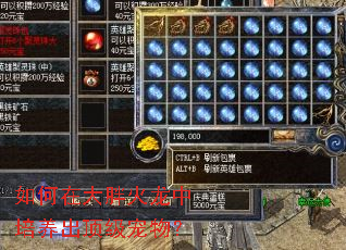 ����ڴ��ֻ������������������