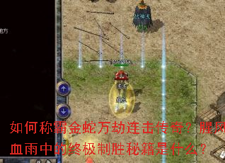 ��γưԽ�������������棿�ȷ�Ѫ���е��ռ���ʤ�ؼ���ʲô��