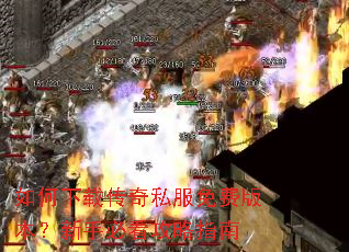 ������ش���˽����Ѱ汾�����ֱؿ�����ָ��