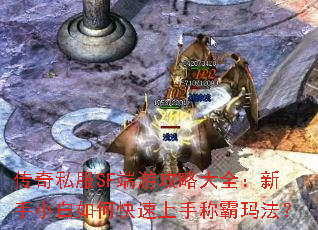 ����˽��SF���ι��Դ�ȫ������С����ο������ֳư��귨��