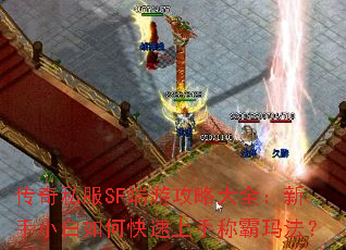 ����˽��SF���ι��Դ�ȫ������С����ο������ֳư��귨��