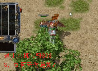 ��ʿ��������BOSS���������ͨ�أ�