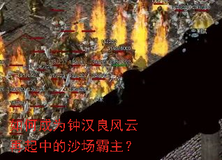 ��γ�Ϊ�Ӻ������������е�ɳ��������