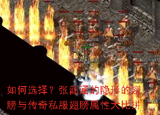 ���ѡ�����غ������εĳ���봫��˽��������Դ��ƴ