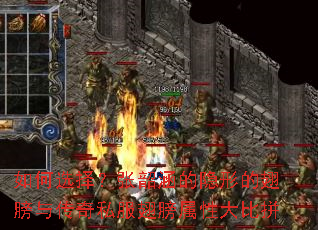 ���ѡ�����غ������εĳ���봫��˽��������Դ��ƴ