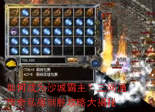 ��γ�Ϊɳ�ǰ���������ͨ����˽����ʤ���Դ����