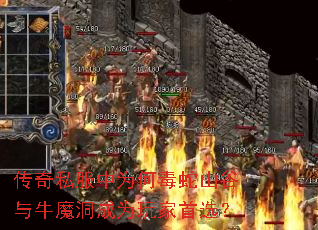 ����˽����Ϊ�ζ���ɽ����ţħ����Ϊ�����ѡ��